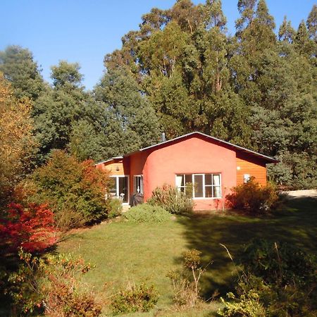 Whispering Spirit Holiday Cottages & Mini Ponies Franklin Ngoại thất bức ảnh