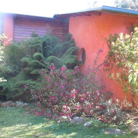 Whispering Spirit Holiday Cottages & Mini Ponies Franklin Ngoại thất bức ảnh