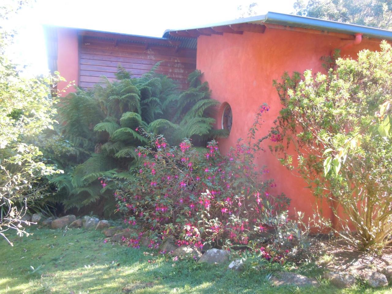 Whispering Spirit Holiday Cottages & Mini Ponies Franklin Ngoại thất bức ảnh
